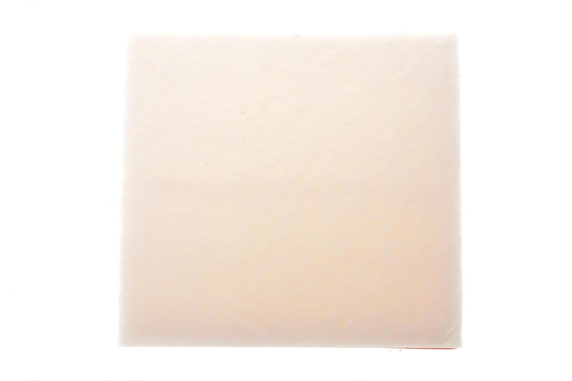WH243 WUNDER FILTER